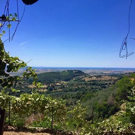 Frantoio-di-campiglia Campiglia Marittima